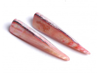 perleťový zub - sv. růžová  (balení 10 ks)