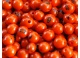 Acai semínko