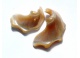 mušličky - sloní uši (10ks)